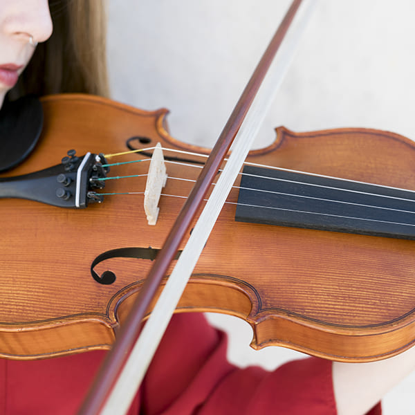 Violin