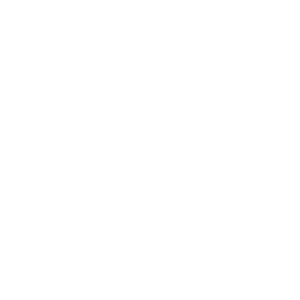  String İnstruments